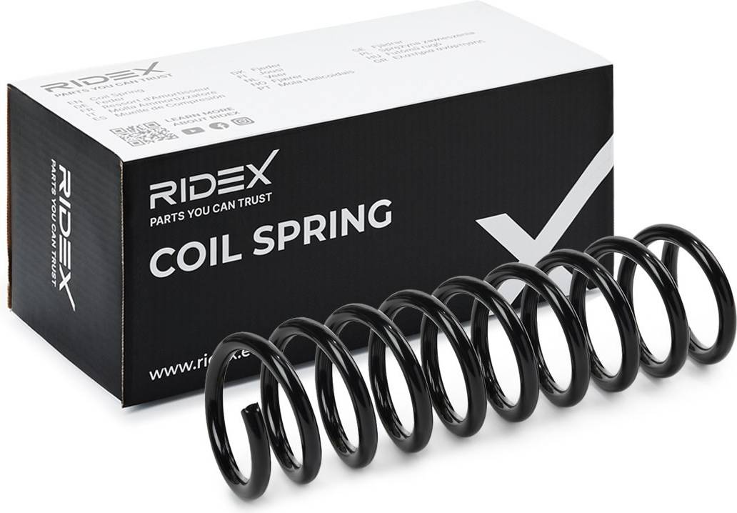 Ridex Coil Spring Rear Axle
