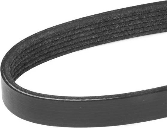 Ridex 305P0072 V-Ribbed Belt