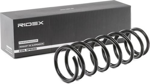 Ridex Coil Spring Rear Axle