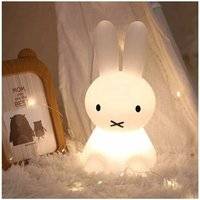 Rose Pink-LED Luminous Decoration Rabbit Colorful