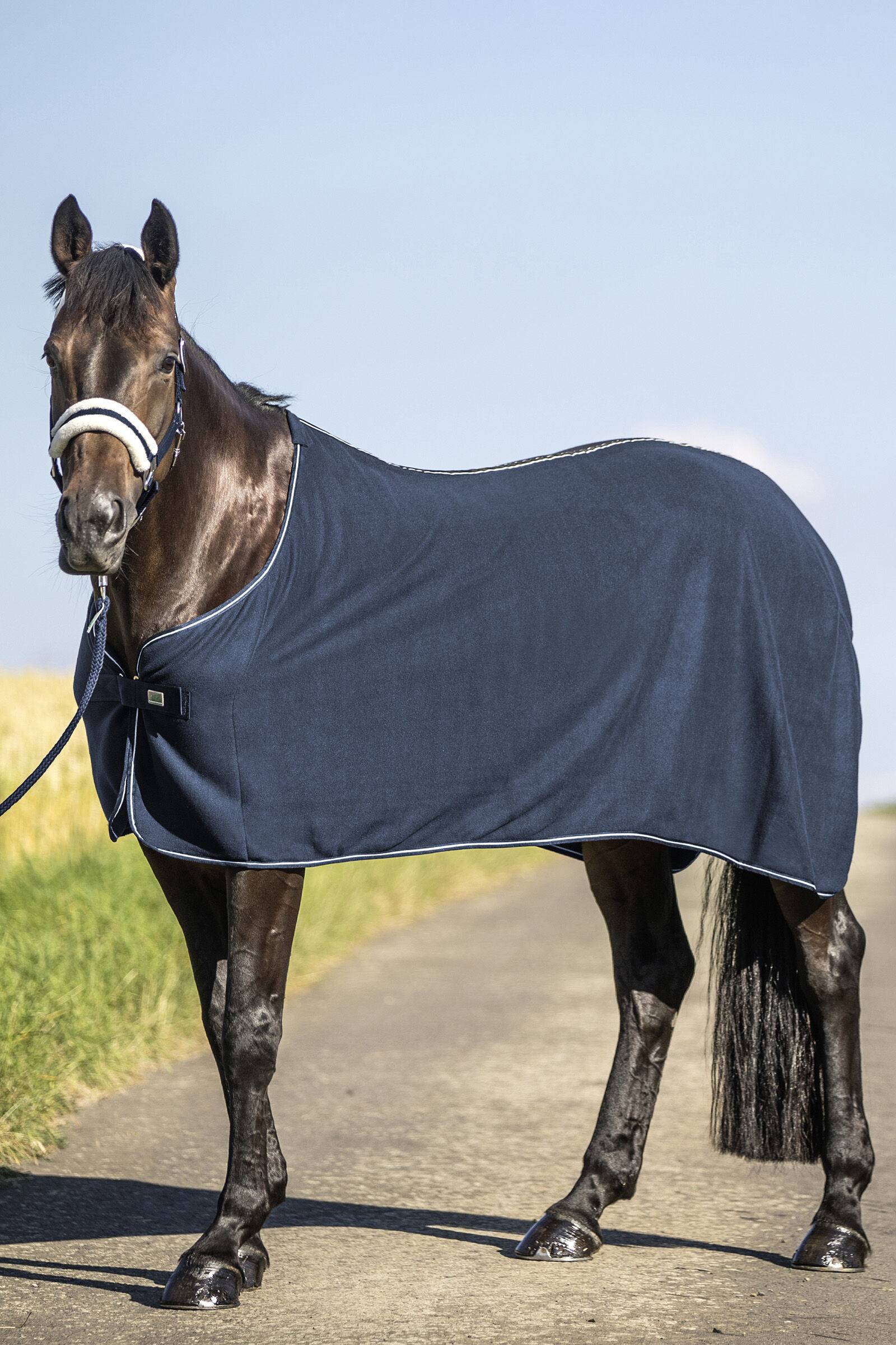 Usg Fleece Rug - DB/AB