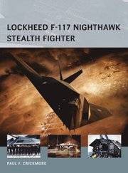 Lockheed F-117 Nighthawk Stealth Fighter