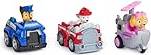 Paw Patrol Toy Vehicle Core Plbk RSC Racer WLMX