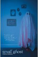 Small Ghost (Paperback Softback)