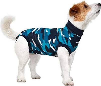 Recovery Dog Small Plus Black