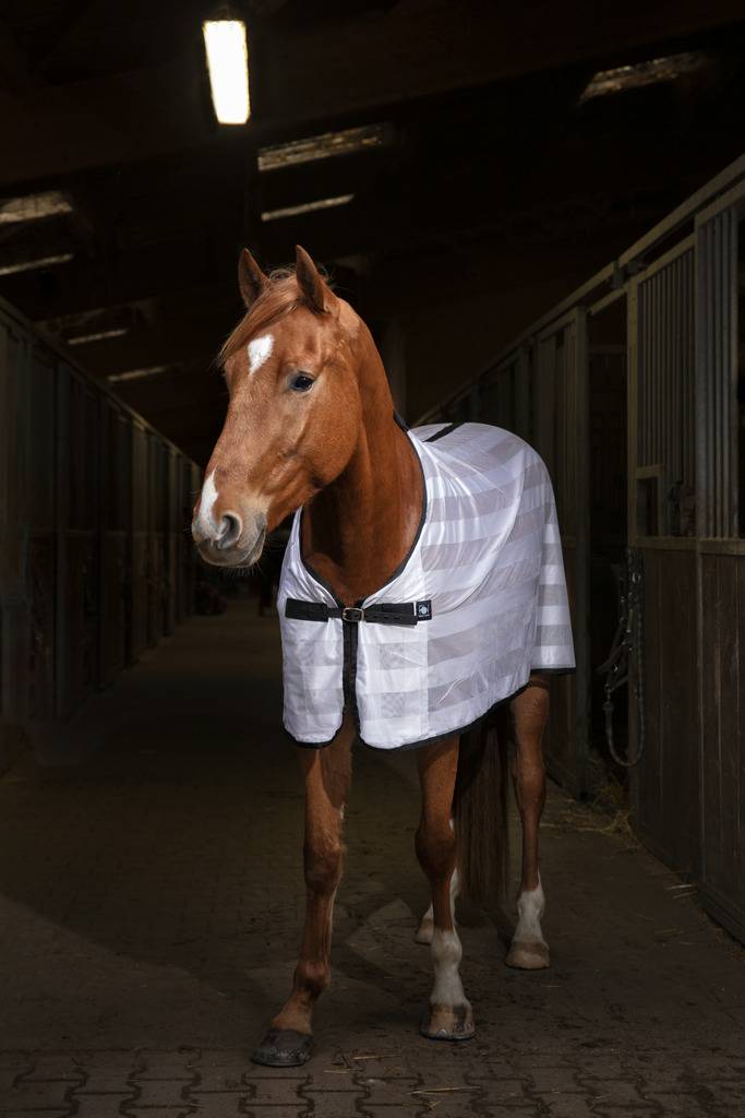 EquiThème Rug Equithème Mesh Blanc