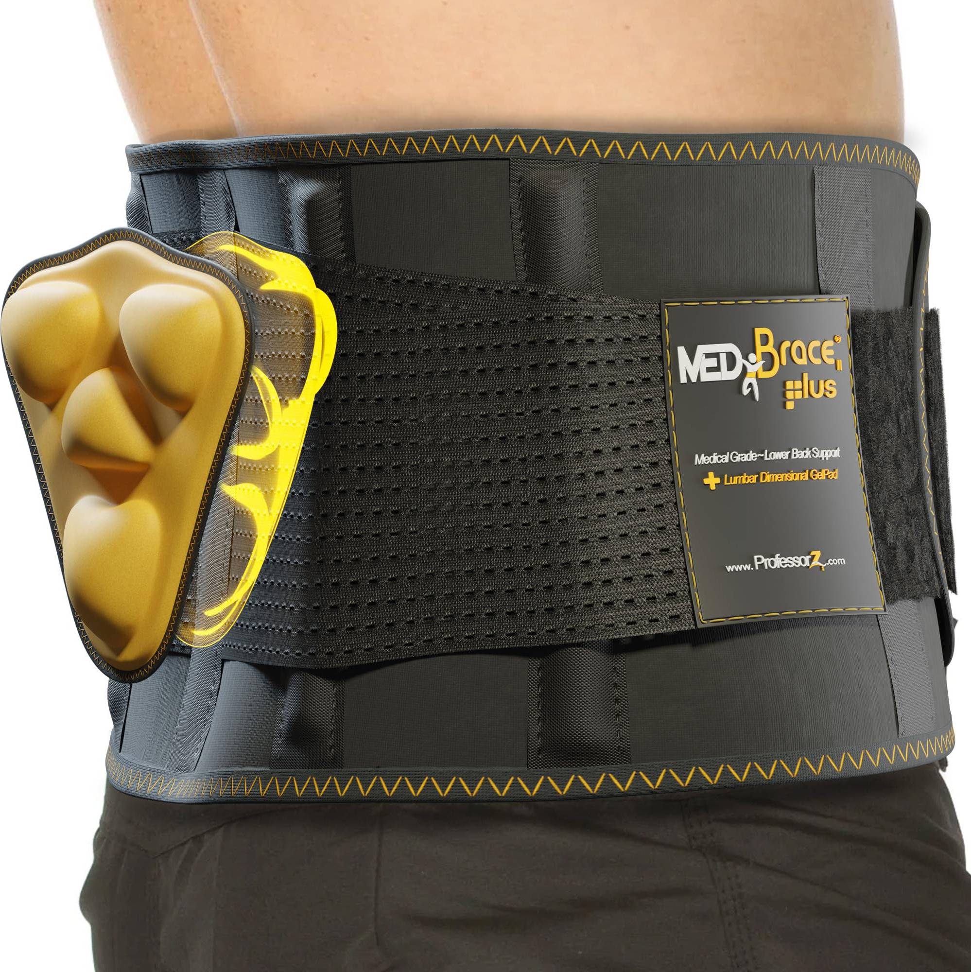 PLUS Back Support Belt