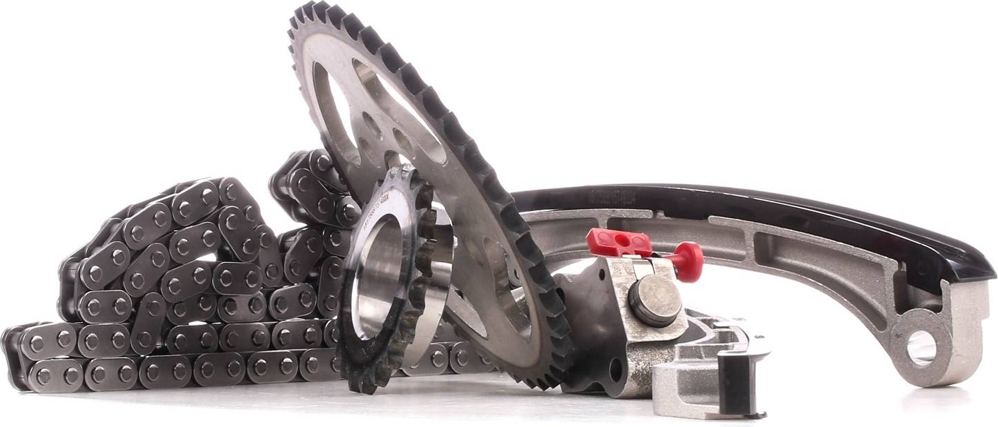 Ridex 1389T0201 Timing Chain Kit