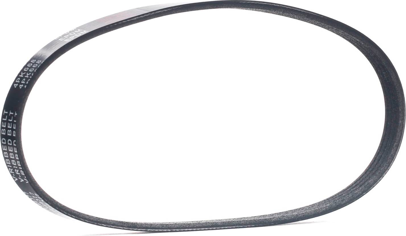 Ridex 305P0502 V-Ribbed Belt