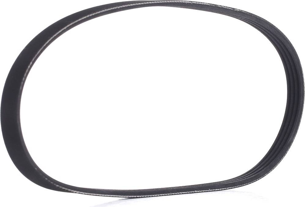 Ridex 305P0009 V-Ribbed Belt