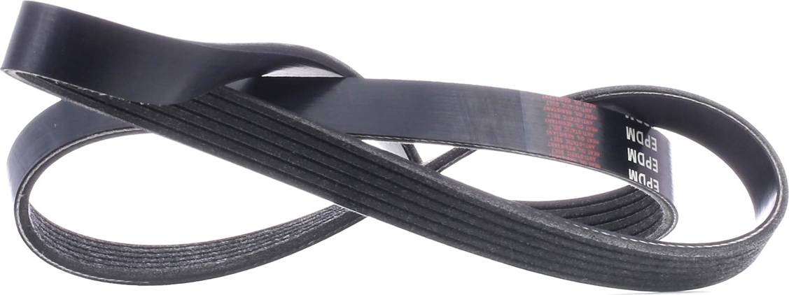 Ridex V-Ribbed Belt 305P0397