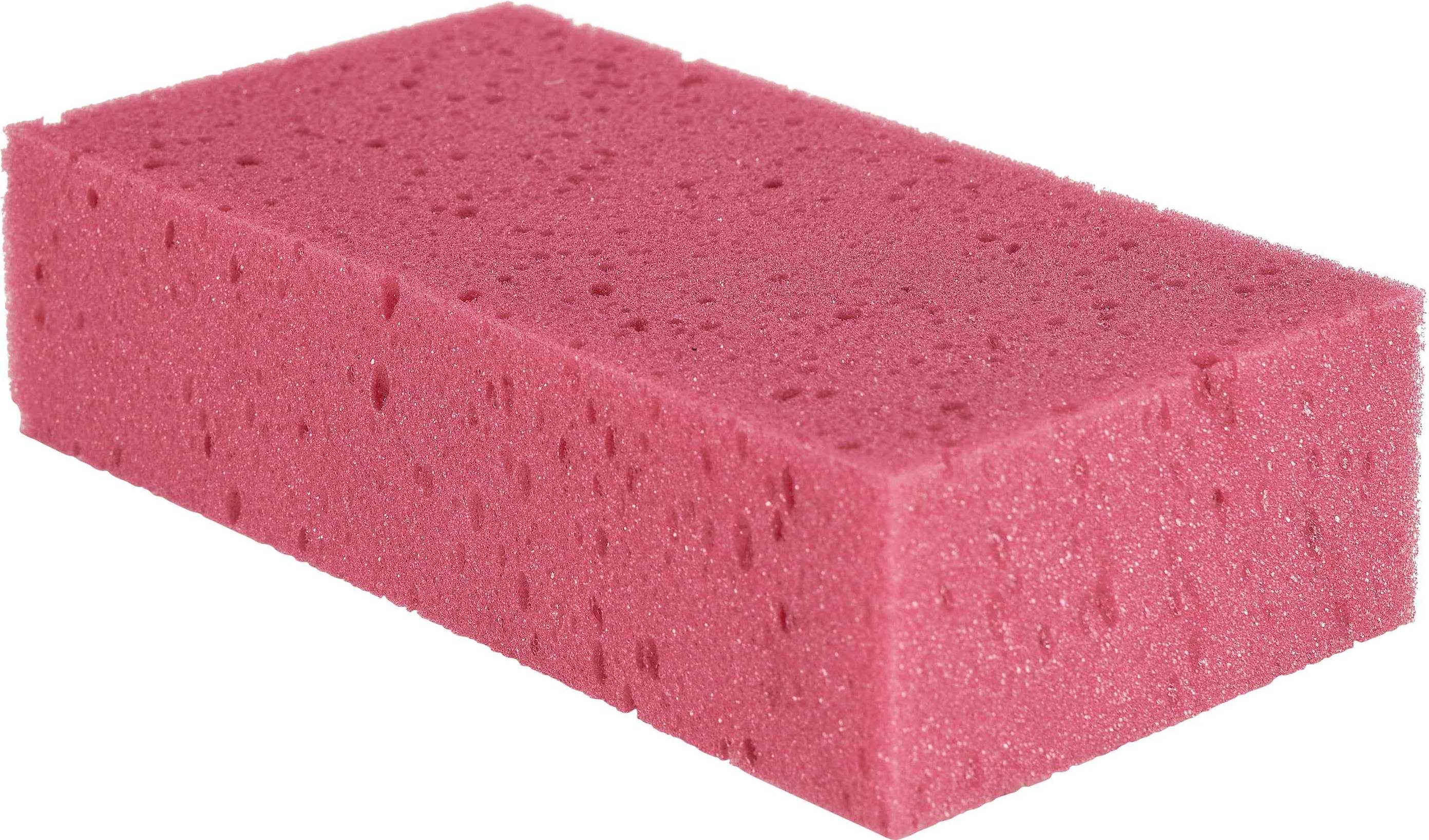 Sponge Neon Pink