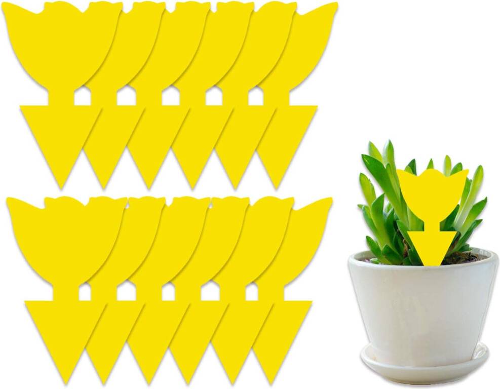 LimbO 50 Pack Sticky Insect Traps Flying Plant Insects 50pcs