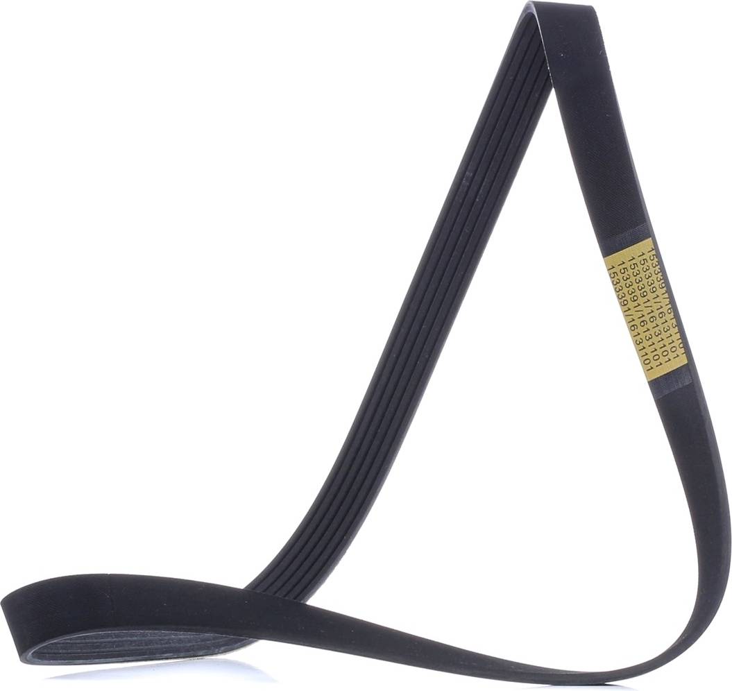 Ridex 305P0480 V-Ribbed Belt