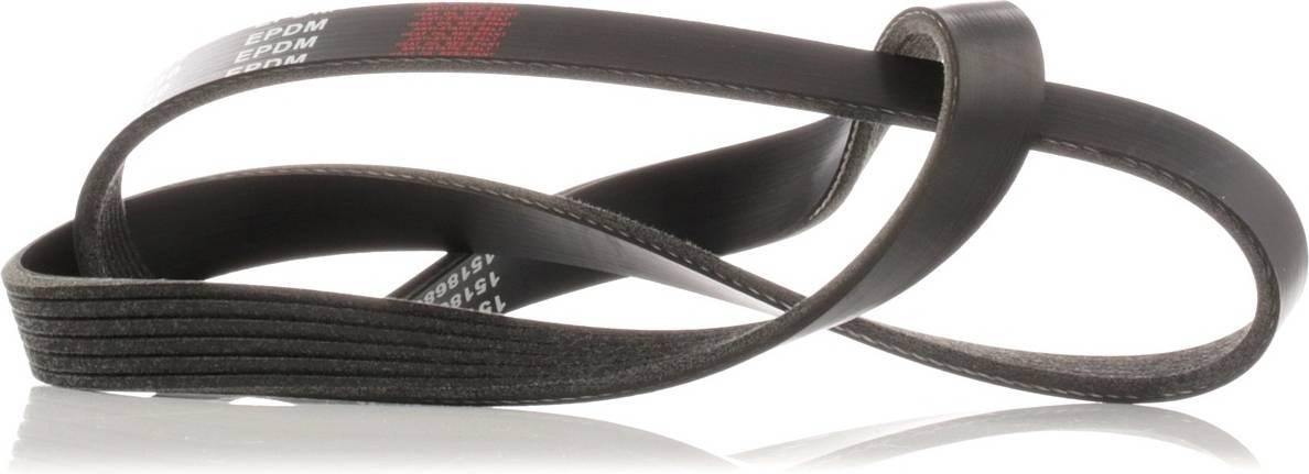 Ridex 305P0428 V-Ribbed Belt