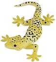 Leopard Gecko