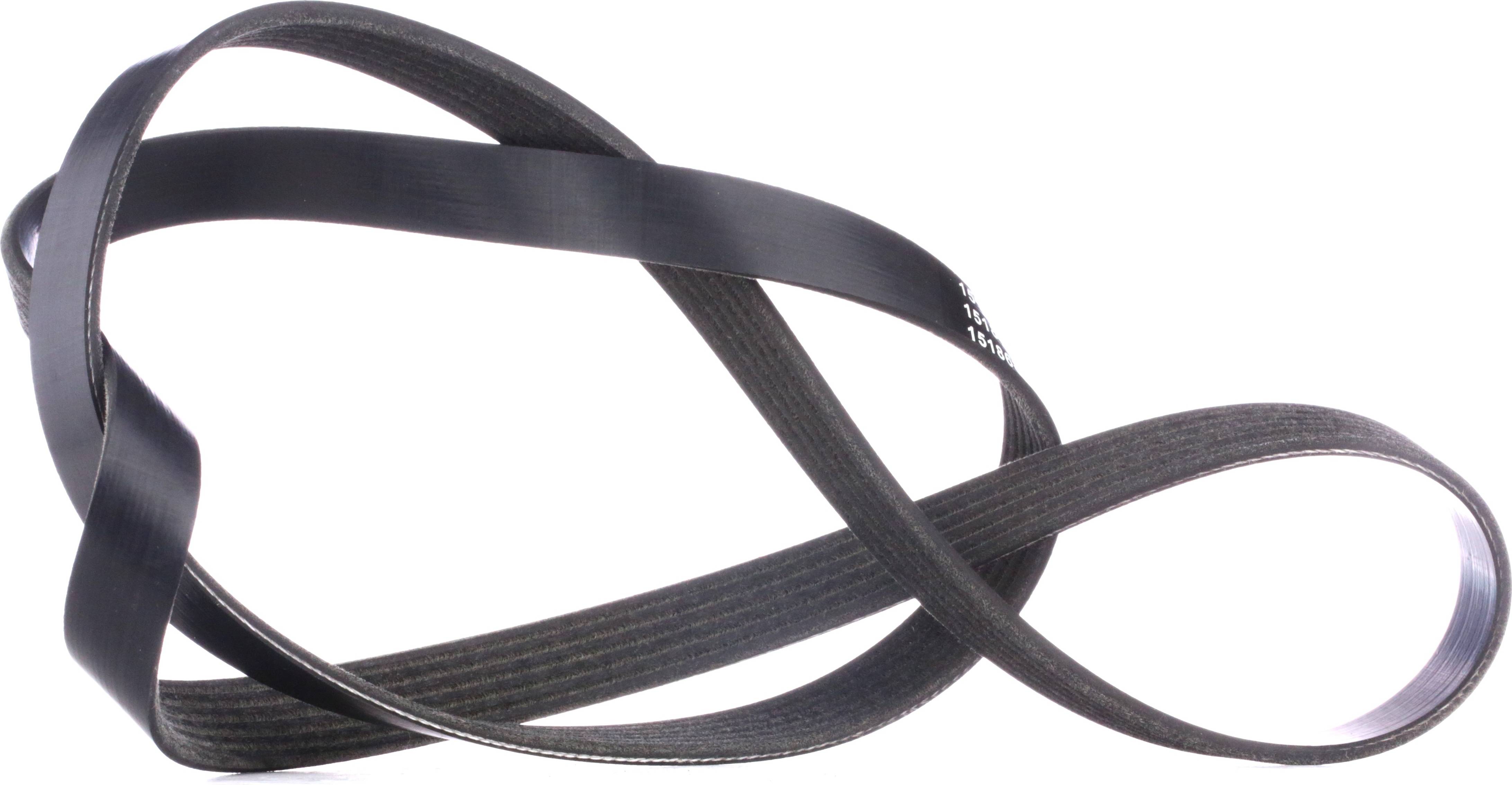 Ridex V-Ribbed Belt 305P0123