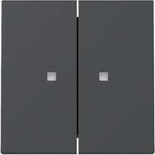 Gira Cover Plate Switch Push Button Rocker 2-Way Control Panel Anthracite