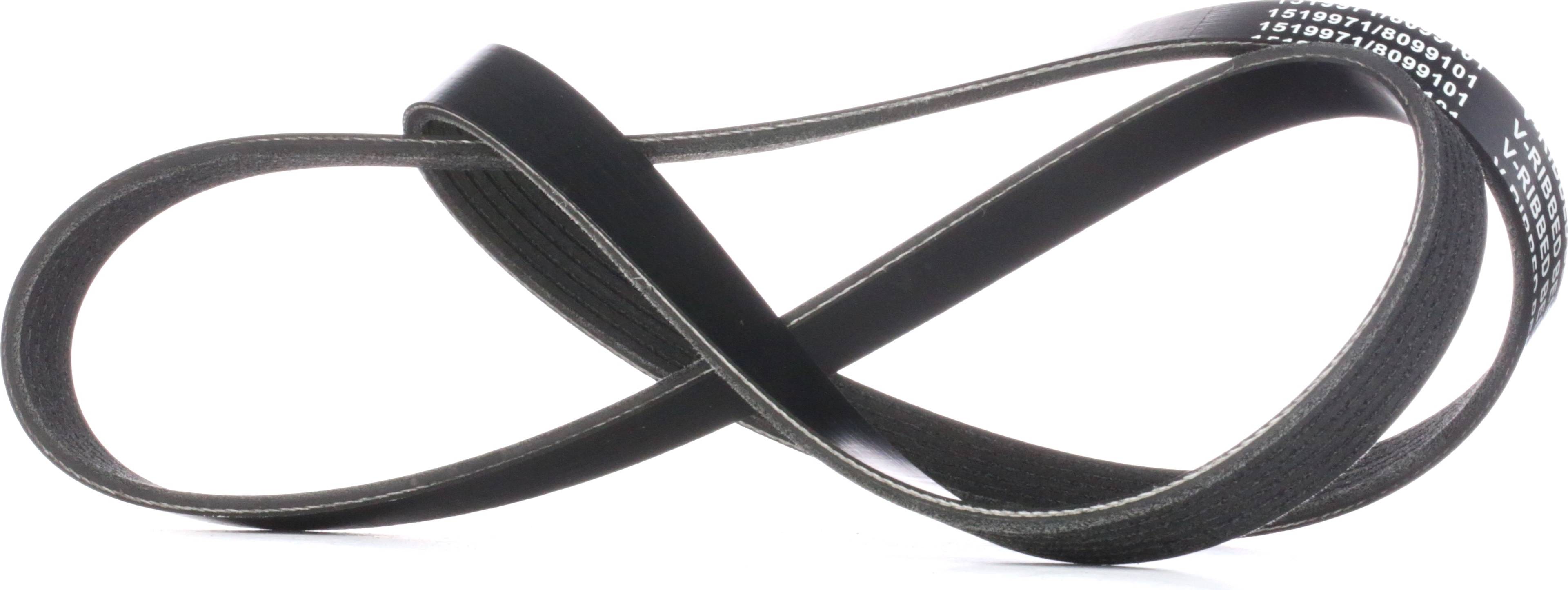 Ridex 305P0306 V-Ribbed Belt