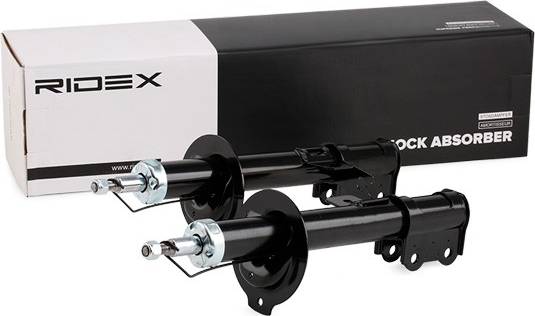 Ridex Shock Absorber Rear Axle Left Twin Tube