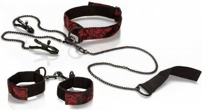 CalExotics Scandal Submissive Kit