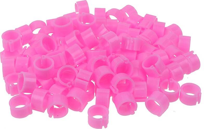 100 Pcs Inner Diameter 8mm Pigeon Leg Rings