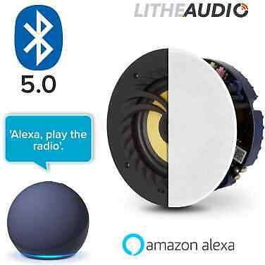 Alexa echo dot Lithe Audio 6.5"