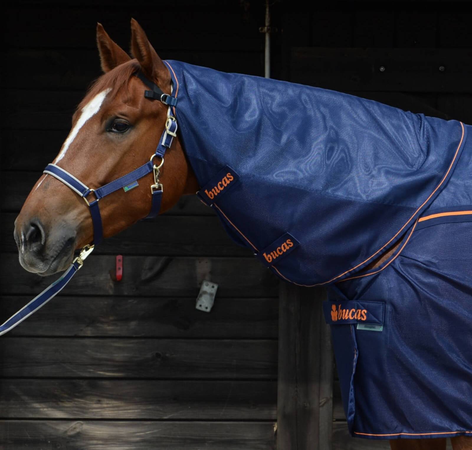 Bucas Neck Rug Therapy Mesh - Bleu