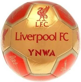 Signature Football