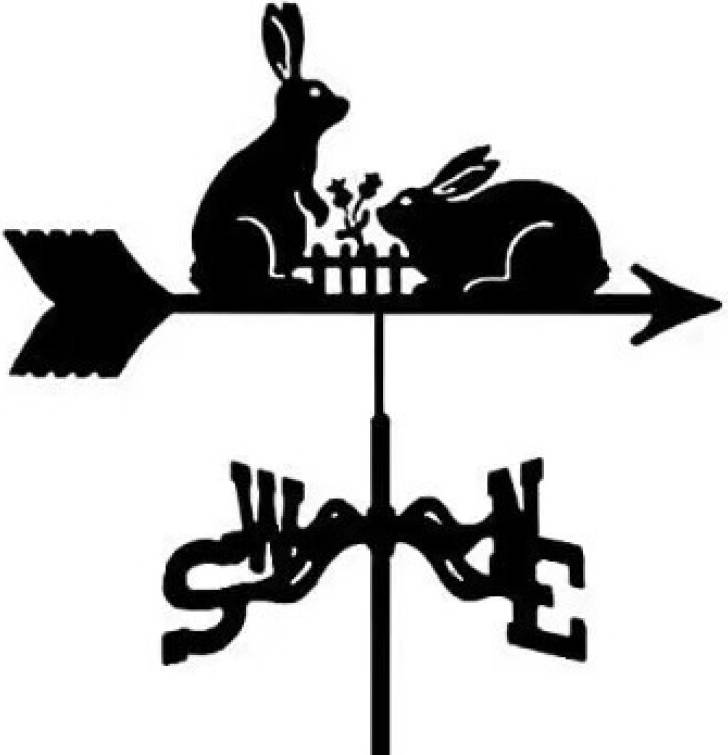 XYLFLY Rabbit Metal Skull Knight Weather Standing Wind