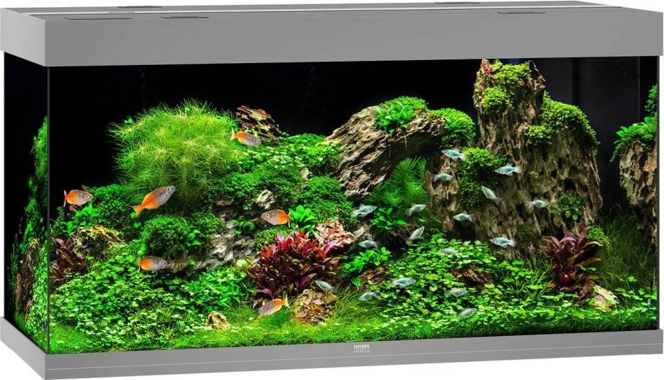 Juwel rio Juwel Rio 350L LED Aquarium