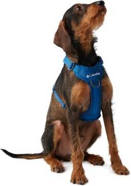 Columbia Silver Ridge Dog Harness - Blue