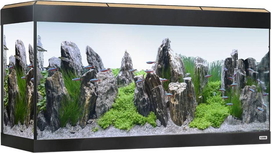 Aquarium Fluval Roma 200 LED Aquarium Only