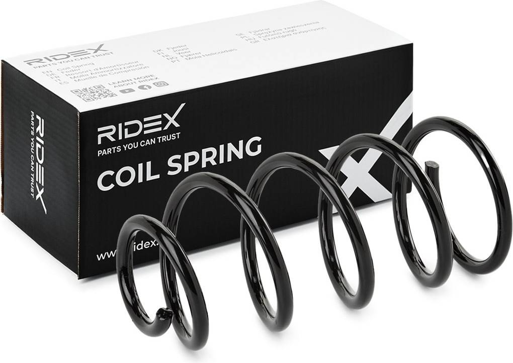 Ridex Coil Spring Rear Axle