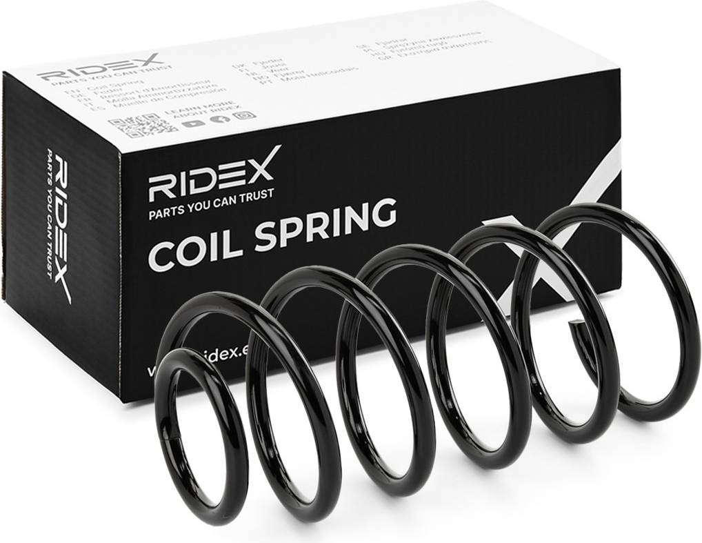 Ridex Coil Spring Front Axle for Vehicles