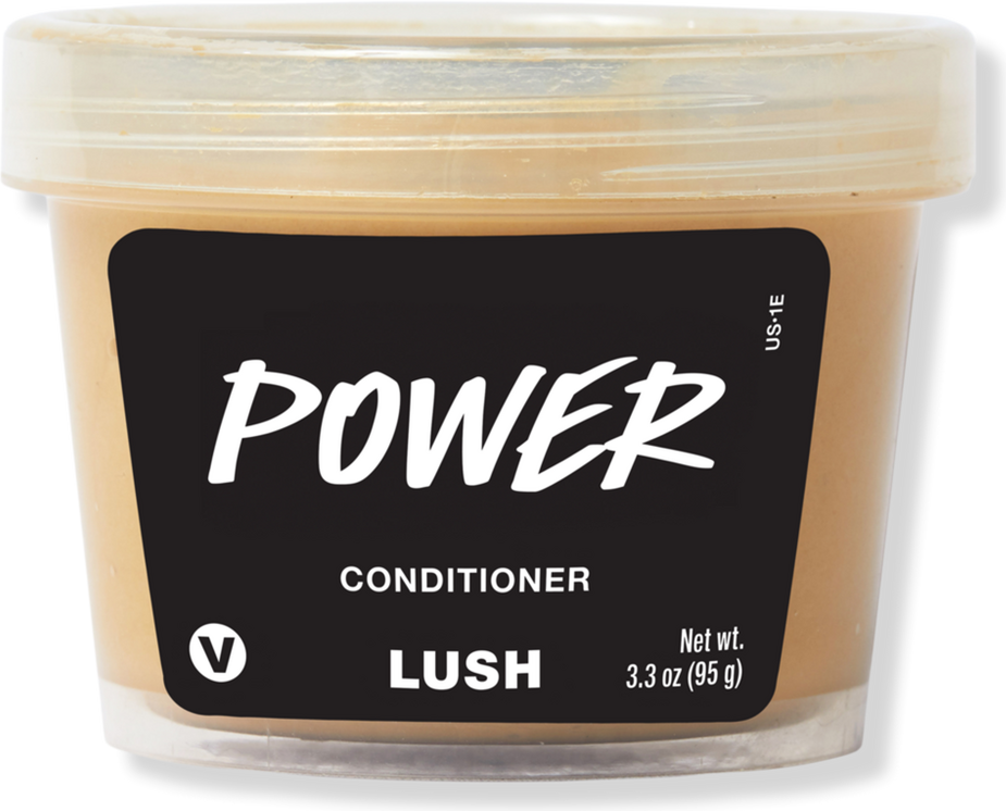Power Conditioner
