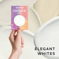 Rust-Oleum Radiator Paint Samples - Elegant Tester Box Radiator Paint