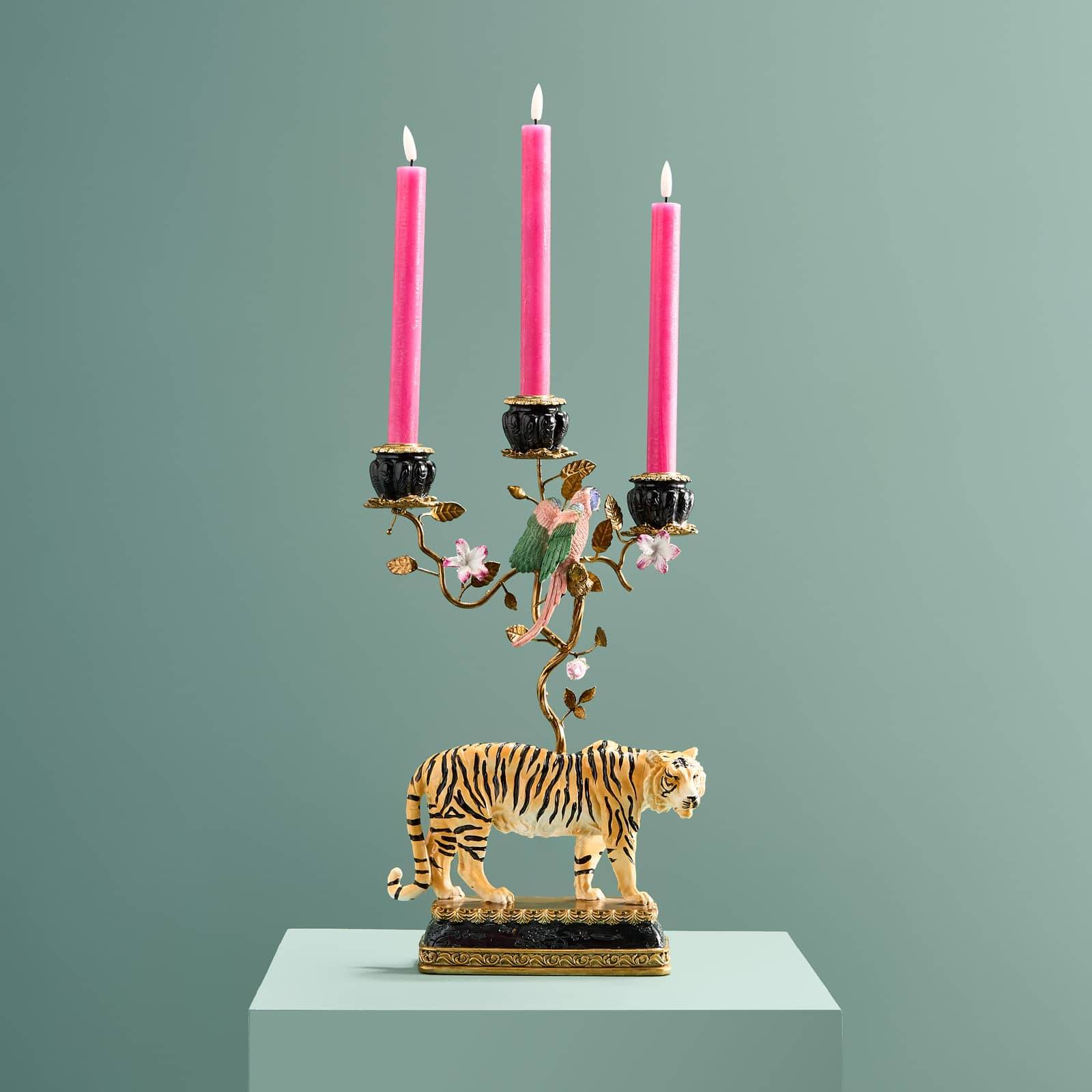 Tiger Multicolour