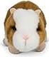 Hamster