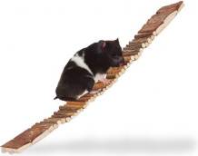 B2X Rodent On Suspension Bridge