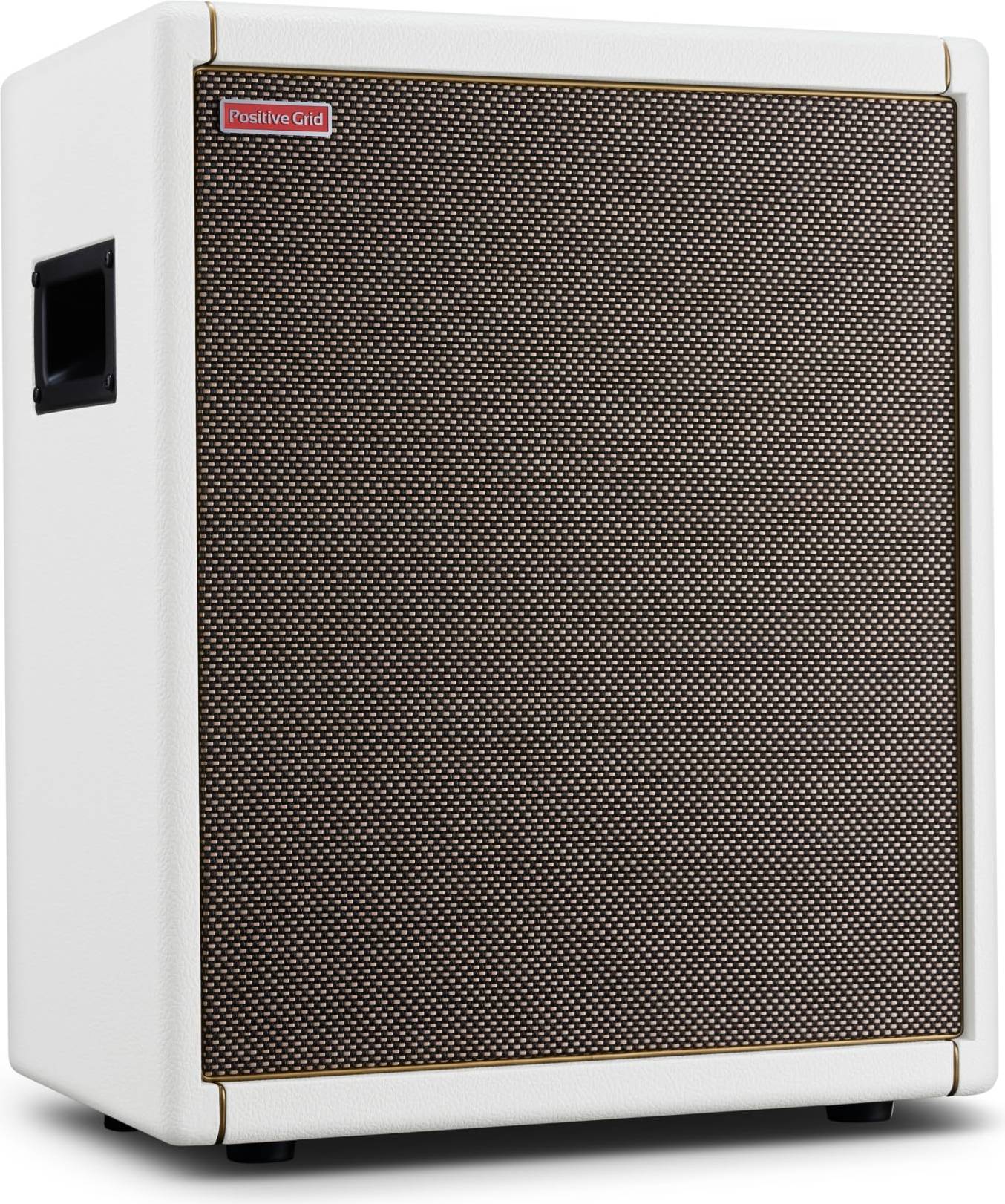 Positive Grid Spark CAB PW Bundle