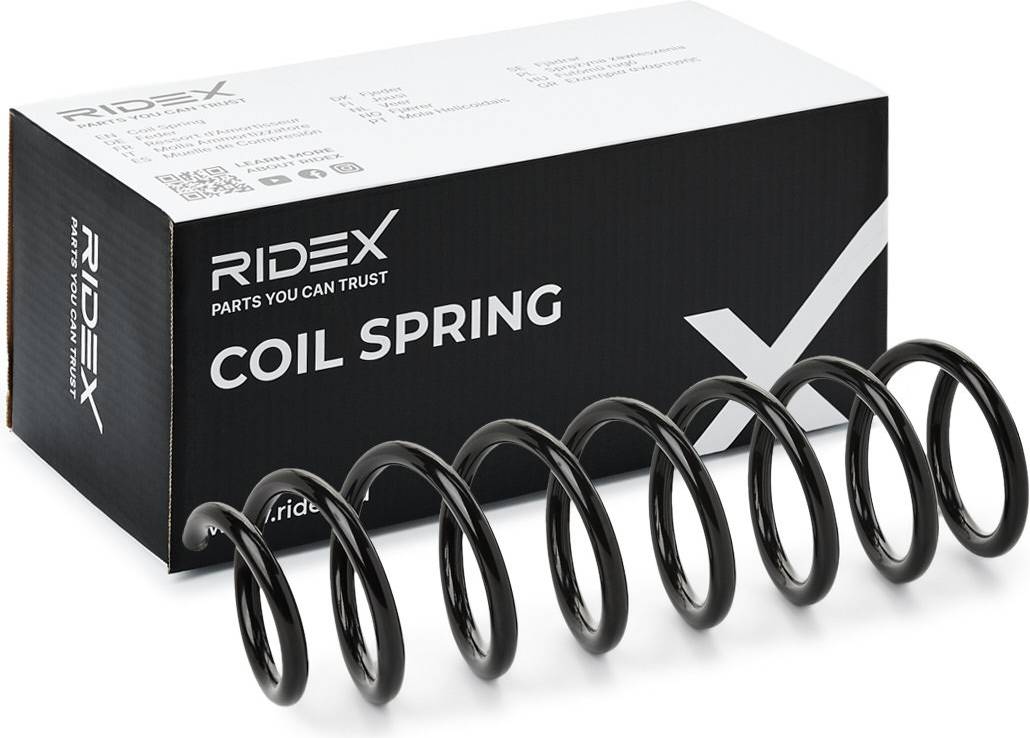 Ridex Coil Spring Rear Axle