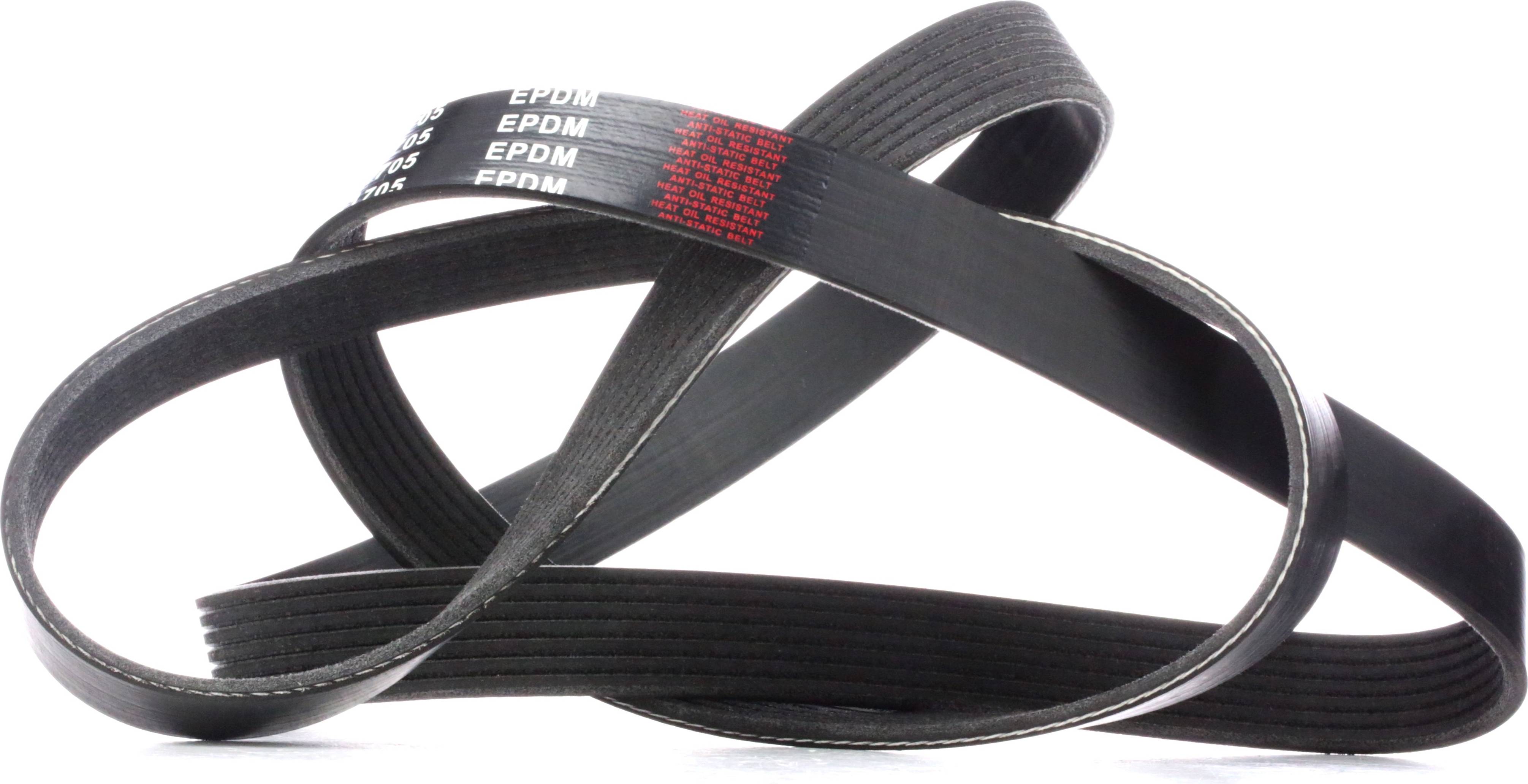 Ridex 305P0323 V-Ribbed Belt