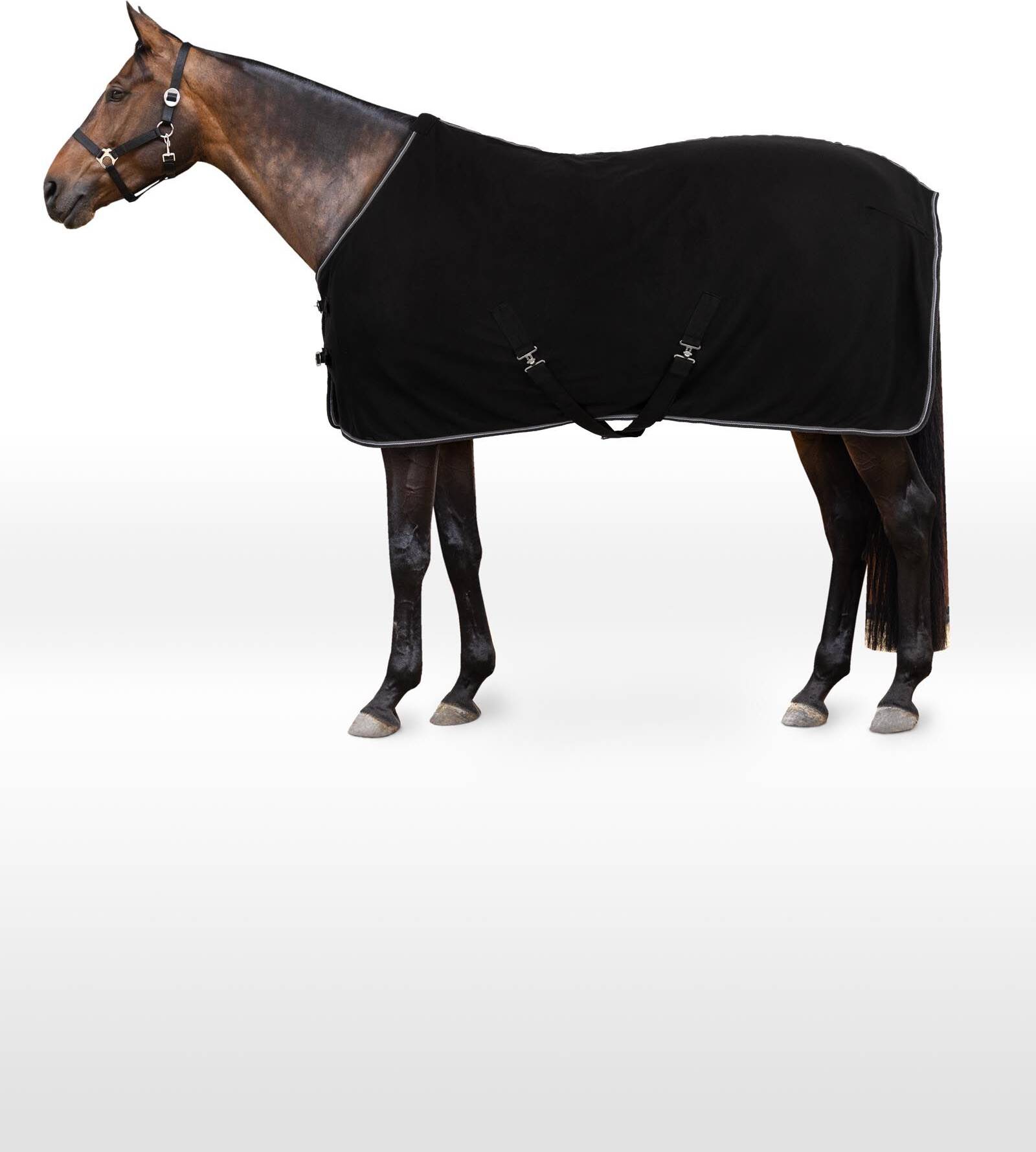 Kiel Fleece Rug