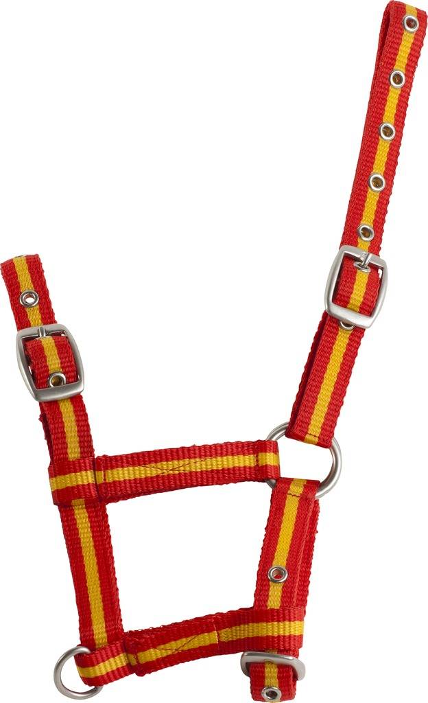 Norton Adjustable Halter For Foal - Rouge
