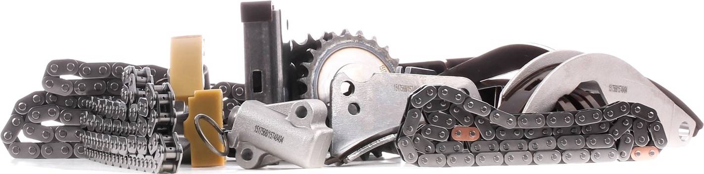 Ridex 1389T0189 Timing Chain Kit
