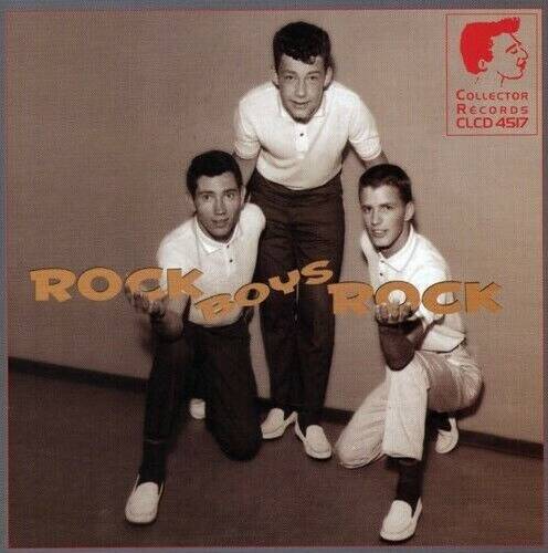 Various Rock..Boys..Rock (CD)