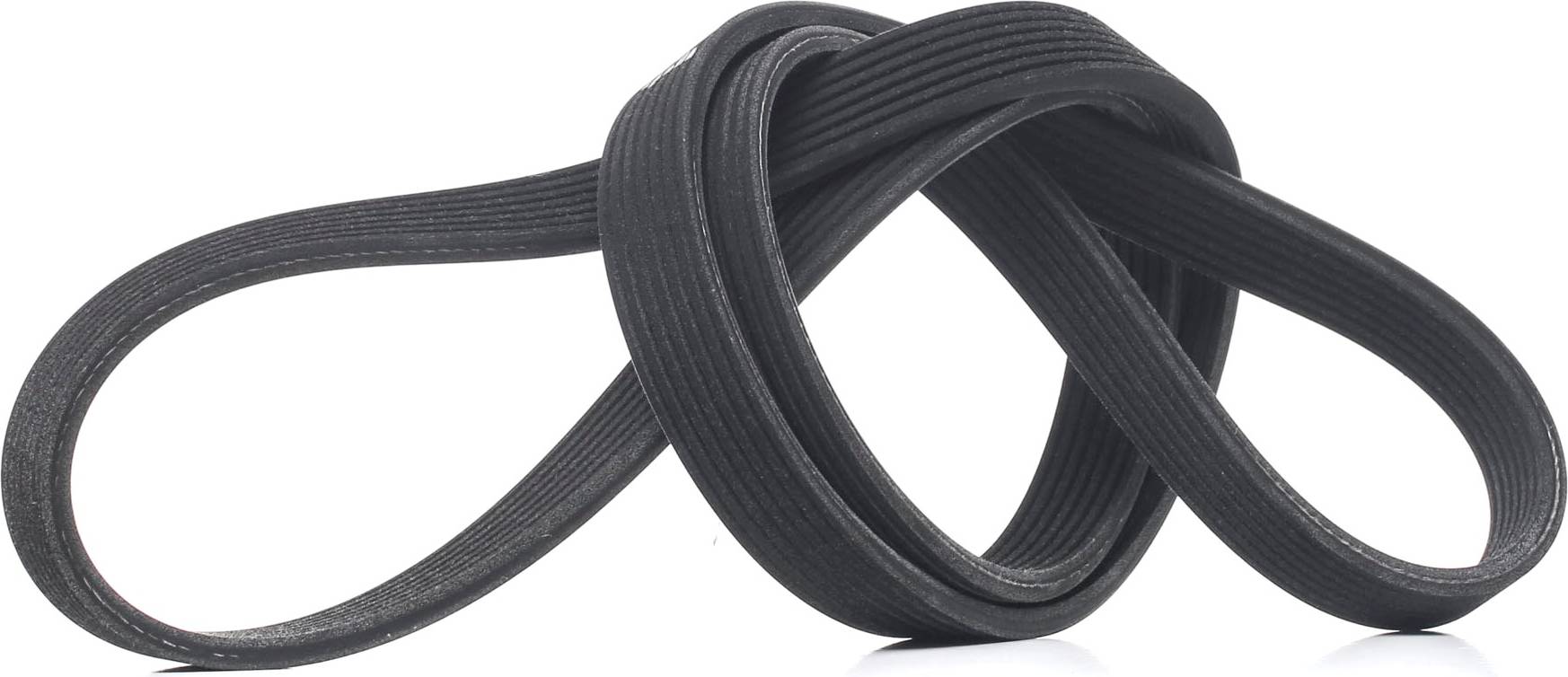 Ridex 305P0460 V-Ribbed Belt