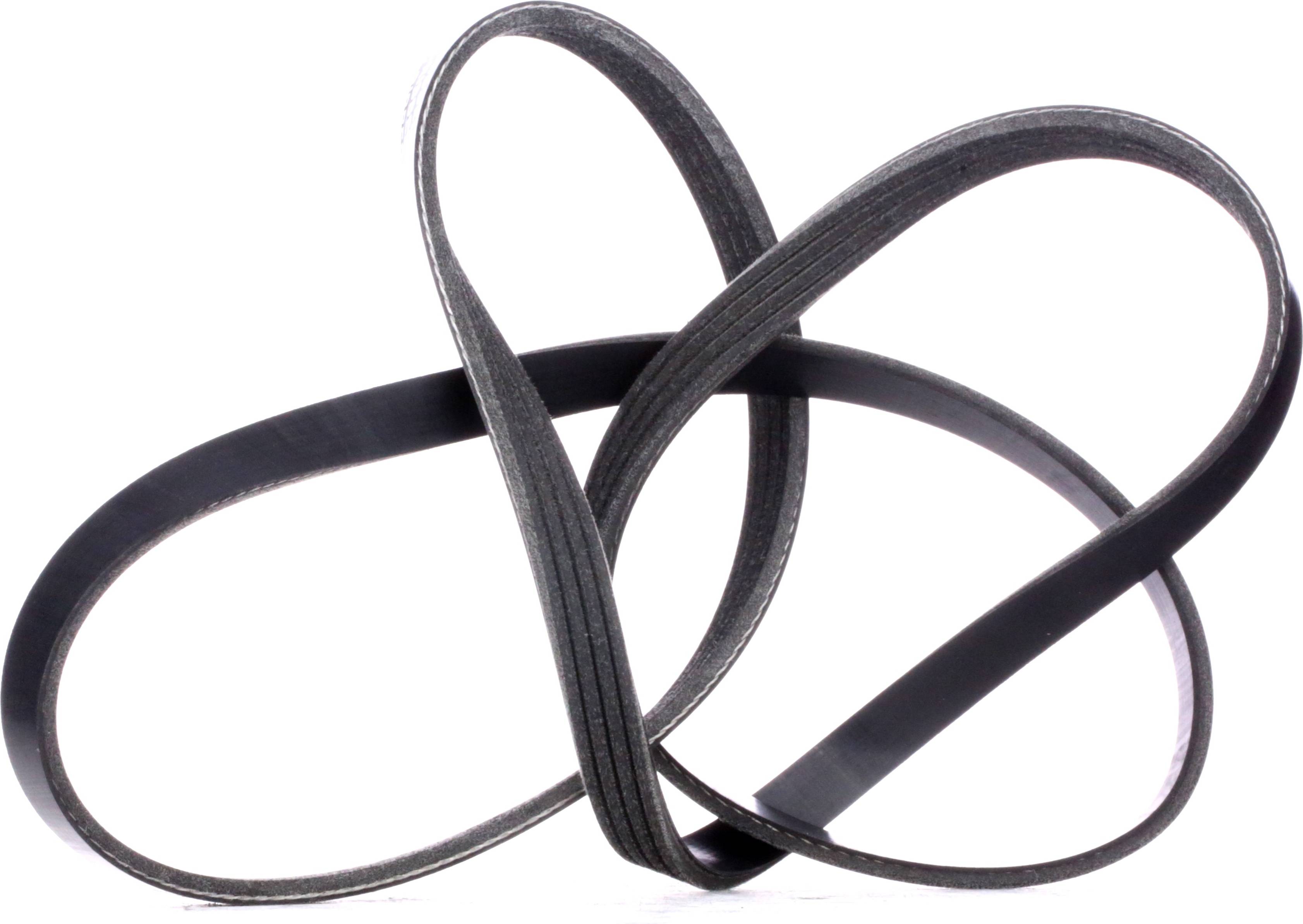 Ridex 305P0326 V-Ribbed Belt