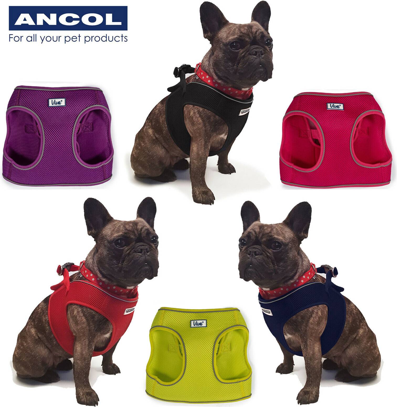 Ancol Step-In Mesh Harness - Black / Extra Small